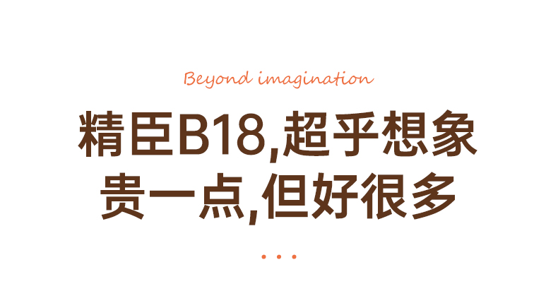 B18-1-修改_06.jpg